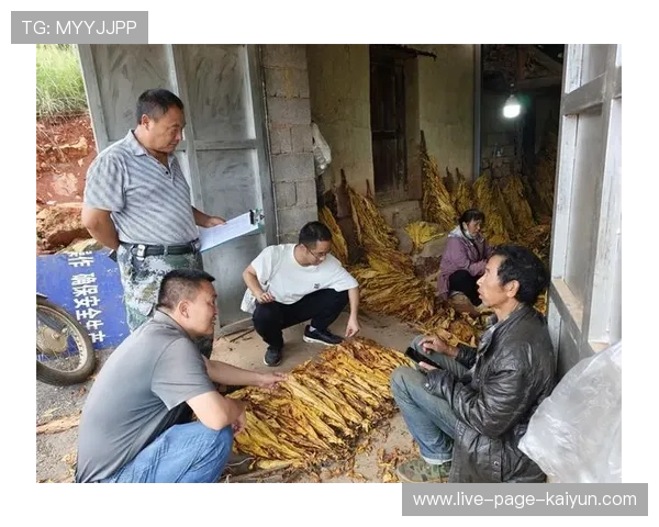 ¦ó-¬-Íi¢-§¦¾¦õú¦Î¬+ß¦+¦¦+++¬-ÎÀóð-¦-